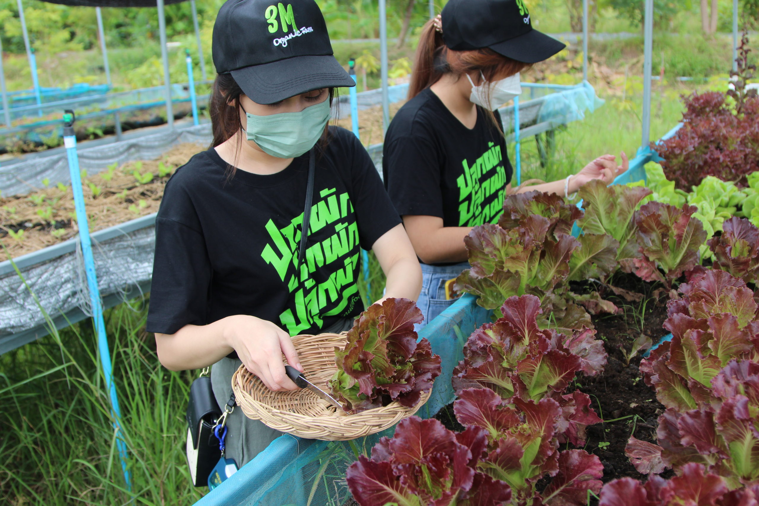 ร้านอาหารเลี้ยงพระ รับจัดงานบุญ รับจัดงานขึ้นบ้านใหม่ 60 IMG 7725