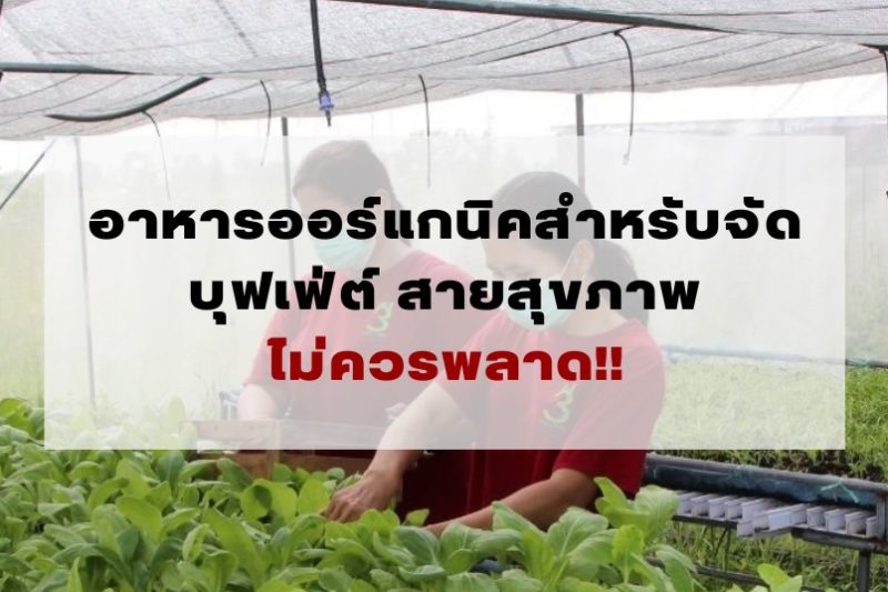 จัดบุฟเฟ่ต์